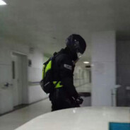 斯瓦纳