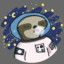 SleepySpaceSloth