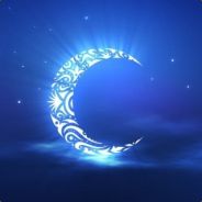 【»】 ZaHeF 【«】