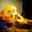 oiZo