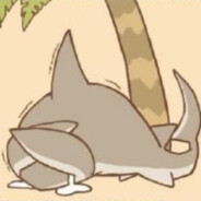 能把你的猫咪给我玩一下嘛