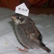 Jauffre - steam id 76561197975477359