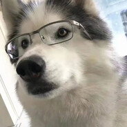 无语中的彩虹糖