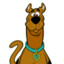 Scooby.