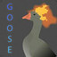 goose