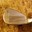 9iron avatar