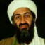 bin laden