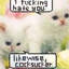 fukc yuor mother