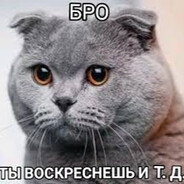 #непобедимий | КОТ