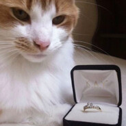 Qadyrbayevv - steam id 76561198238552056