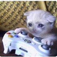 senor_catto avatar