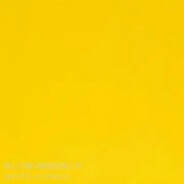 她还是那么爱笑