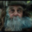 Radagast_PL