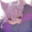Afumaii avatar