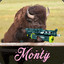 Monty Bizon