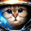 Galaxy_cat