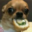 Madou