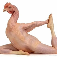 Chicken Yoga avatar