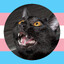 KJKalle (meow) :3