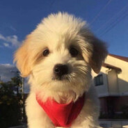 18岁纯情少男带俩女儿