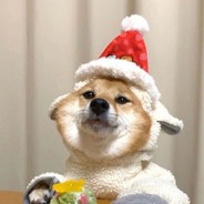 左右开弓似射雕