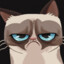 Grumpy Cat