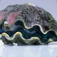 Clam Burrito - steam id 76561197971694756