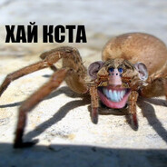 Пажылой Павук