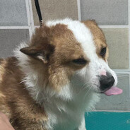 一个男的 随神突800+