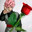 Dark_Phoenix471 avatar
