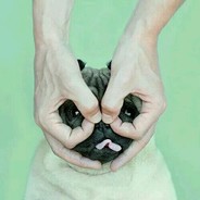 无敌蒸汽大王丶