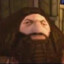 PS1 Hagrid