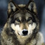 volk