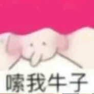 汤臣一品业主二狗