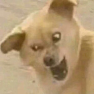 说了晚安等不到早安