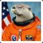 TheSpaceOtter