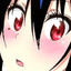 hentaihailey2008