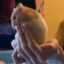 want2scream
