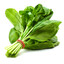 SentinelSpinach