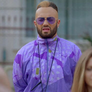 Profesorul Sulipitor