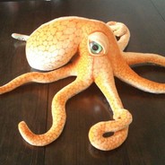 Cephalopod Wizard