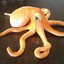 Cephalopod Wizard