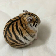 старая рохля