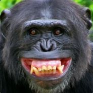 buckFuddy - steam id 76561197961876372