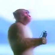 H3WALO avatar
