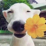 今晚的我有点甜