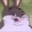 big chungus