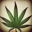 IndraAle_4:20