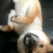BAO