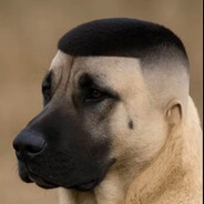 Djani